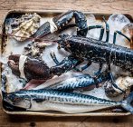 Lobster Lobster